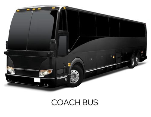 Coach bus 2