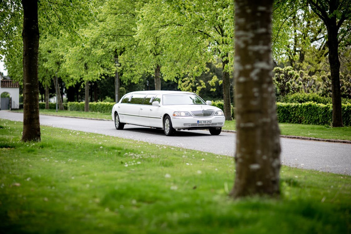 Limo Service in California